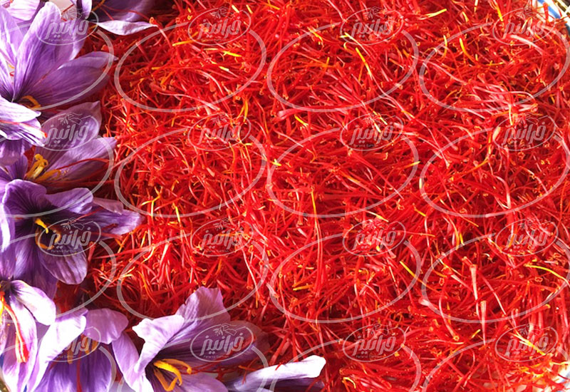 صادرات زعفران به باکو با حاشیه سود بالا