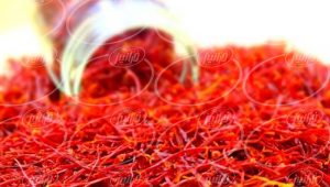 برترین سایت خرید زعفران در کشور